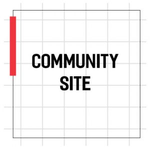 new community/ social website build